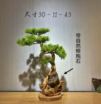 Taihang Thuja Welcome Pine Root Carving Holding Rock Mountain Home Landscape Backflow Incense Ornament Living Room Tree Root Craft