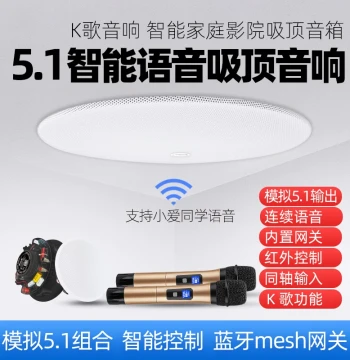 Custom 5.1 Home Theater Karaoke Ceiling Speakers, Xiao Ai Smart Voice Control Home System