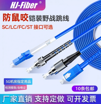 Huajie Hengxun Custom Armored Fiber Optic Patch Cable Engineering Telecom-Grade Single-Mode Single-Core sc-SC to FC/LC/ST Fiber Patch Cable 3/5/10/20 Meters Anti-Rodent Tensile Waterproof Optical Cable Extension Pigtail