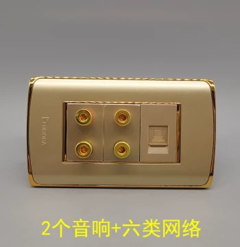 118/120 Type Cat6 Network Panel with 2 Audio Sockets, 4-Head 4-Hole Speaker Wire, 5.1 Surround Sound Gigabit Faceplate
