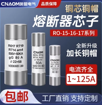 Ceramic Fuse Tube R015 Fuse RT18-32A 63A 125A Core 10*38 Melting Core R016 RO17