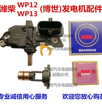 Weichai Regulator Bosch wp12 Alternator Slip Ring Bosch Doctor Voltage Regulator Delong wp13 Slip Ring