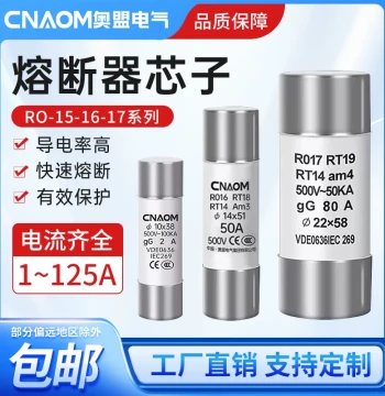 R015 Ceramic Fuse Tube Fuse RO16 10*38 Fuse Core RT18 RT14 Core R017 32A 63A