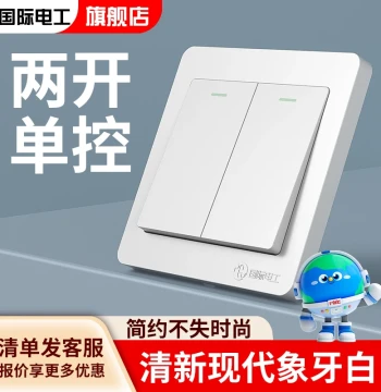 International Electrician Type 86 Concealed Double-Gang Single-Control Switch Wall Socket Panel Home Dual Switch Double-Link 2-Gang Two-Open