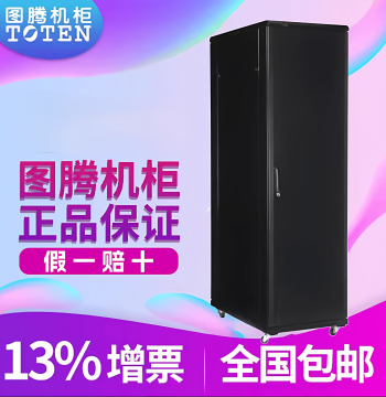 TOTEN G16042 Network Server Cabinet - 42U Reinforced Steel Enclosure with Front and Rear Sheet Metal Doors, Bulk Discounts Available