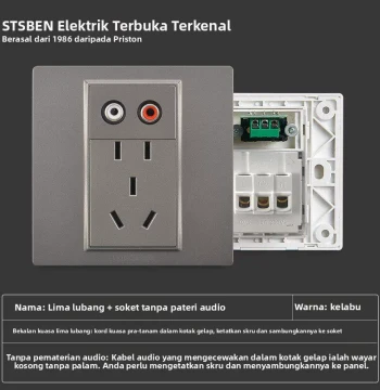 Type 86 Wall Concealed Audio Socket with 5-Hole Power Outlet Panel (5-Hole + AV RCA Audio)