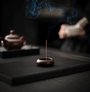 Bahua Black Ebony Wood Mini Incense Holder Stand Travel Indoor Agarwood Sandalwood Multi-Hole Stick Incense Burner