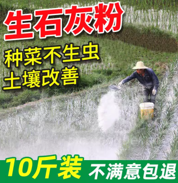 Quicklime Powder for Pest Control in Vegetable Gardens - High Purity Snake Repellent, Agricultural Fruit Tree Whitewashing, Wall Treatment, Dehumidifier, Disinfectant, Desiccant