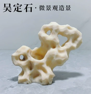 Taiwan Wu Ding Stone Landscape Water-Absorbing Stone Flower Pot Moneywort Acorus Attached Stone Rockery Insectivorous Plant Ornament