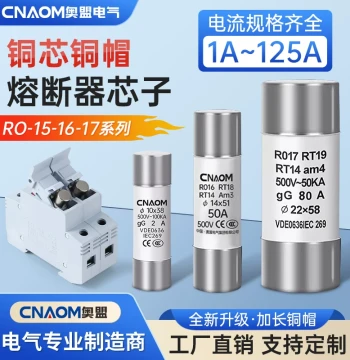 Ceramic Fuse Tubes R015/16/17: RT18 Series Fuses (32A/63A/125A), 10x38mm Fuse Cores, Full Box Packaging