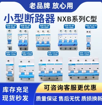 CHINT Kunlun NXB-63-40 1P 2P 3P 4P Type C NXB-125 Miniature Circuit Breaker DZ47 Household Switch