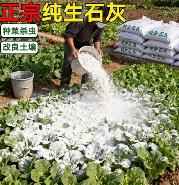 Gardening Quicklime Powder - Insecticide, Disinfectant, and Desiccant for Vegetable Plots, Snake Repellent, and Soil Moisture Control