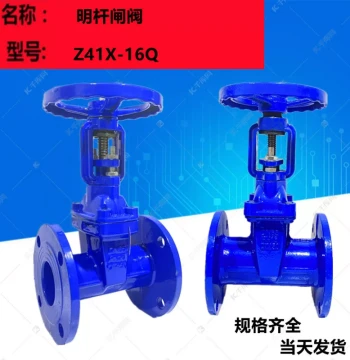 Rising Stem Soft Sealed Cast Iron Valve Z41X-16Q, Elastic Seat Flanged Rising Stem Gate Valve for Water Supply and Fire Protection