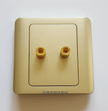 Type 86 Gold 2-Port Speaker Panel with Banana Plugs, One Set of Two-Hole Speaker Binding Posts for Connecting Speakers