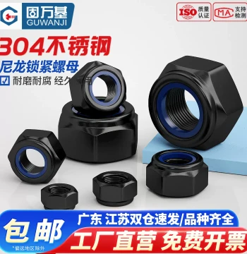 Anti-Loose Self-Locking Nuts, Black 304 Stainless Steel Nylon Insert Locking Hex Nuts M2 M3 M4 M5 M6 M12