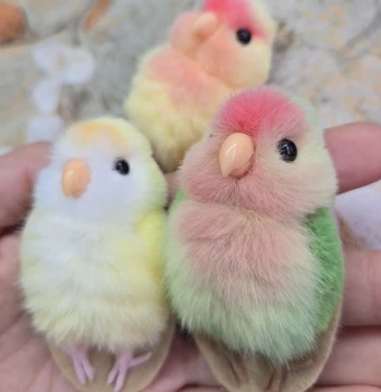 Cat Tribe Fun Items Handmade Super Cute Little Parrot Headpiece Brooch Quaker Yellow Peach Green Peach Peony Parrot Monk Doll