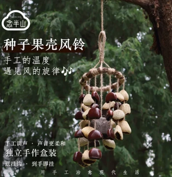 Handmade Fruit Shell Seed Wind Chime Musical Ornament Healing Bell Hotel Balcony Decor Gift