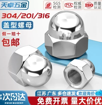 304/201/316 Stainless Steel Dome Head Cap Nut, Decorative Cover M3-M8