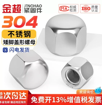 Low Profile Dome Cap Nuts 304 Stainless Steel Hex Blind Hole Decorative Caps M3 M5-M20