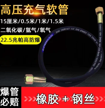 Carbon Dioxide Oxygen Argon Gas Cylinder High-Pressure Transfer Hose Large Bottle to Small Bottle Inflation Bridge High-Pressure Soft Hose Connector