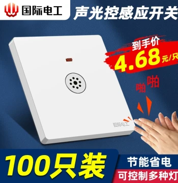 Delay Switch Panel with Sound and Light Control for 220V Energy-Saving Lamps, Flush Mount