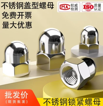 304/201/316 Stainless Steel Round Acorn Nuts Decorative Cap Nuts M3 M4 M5 M6 M8
