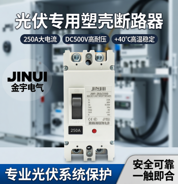 Photovoltaic DC Circuit Breaker 2P 250A Dedicated Molded Case High-Power Air Switch for Inverter Compatibility