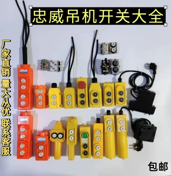 Electric Hoist Lift Crane Switch - Single/Three Phase Micro Button Switch with Up/Down Handle Controller