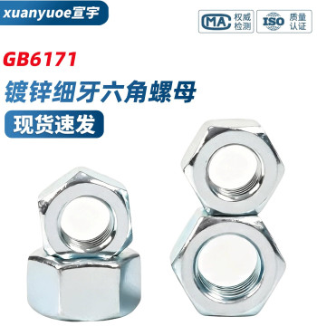 Grade 8.8 Zinc-Plated Fine Thread Hex Nut GB6171 High-Strength Blue-White Zinc Fine Pitch Screw Cap M8-M64