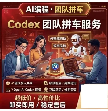 codex team carpooling business package pro membership stable guarantee