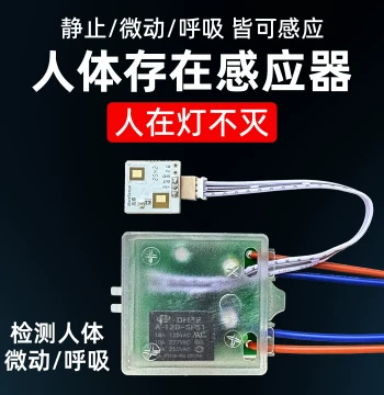 Human Presence Sensor Switch, 24G Millimeter Wave Radar Detection with Delay, Dynamic/Static Smart 220V Home LED Compatible