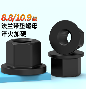 Flange Nut with Washer Extended Hex Die Press Plate Nut M8 M10 M12 M14 M16 M20 M24 M30