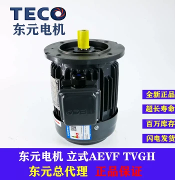 TECO Motor 0.37/0.75/1.5KW AEVF AEMV Brake Motor, Vertical Installation