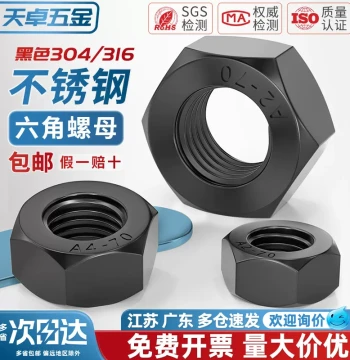 Black 304/316 Stainless Steel Hex Nuts, Black Zinc Plated Screw Caps, Bolt Assortment M3 M4 M5 M6 M10