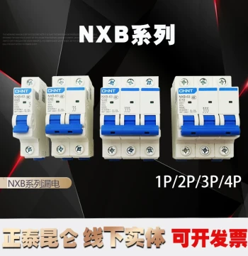 NXB 1P 2P Chint Circuit Breaker, DZ47 Air Switch, Main Power Switch 3P 4P 32A 63A 40A 16A 20A 100A for Home Use