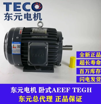 TECO Dongyuan Motor 2.2KW 3.7KW 5.5KW 7.5KW Horizontal AEEF TEGH Braking Brake Motor