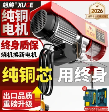 Mini Electric Hoist 220V Lifting Machine for Home Use, Small Lift Hoist 1/0.5 Ton Winch Windlass Crane