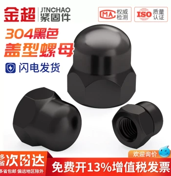 Black 304 Stainless Steel Acorn Nut, Decorative Dome Cap Nut M2-M20