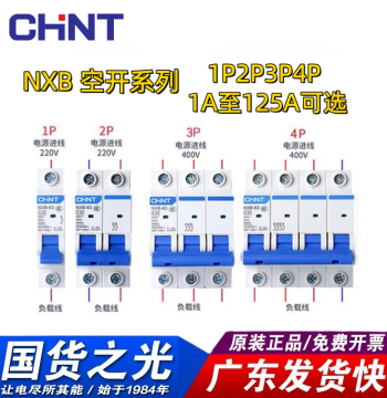 Chint Air Switch NXB-63A Household Mini Circuit Breaker 2P for AC Main Breaker DZ47 NXB-125