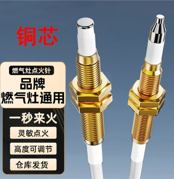 Gas Stove Ignition Needle and Igniter Accessories Kit, Universal Parts for Gas Stoves, Natural Gas Stove Sensor Pins, LPG Compatible