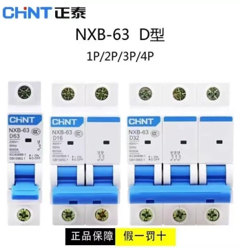 CHNT D-Type Air Circuit Breaker NXB-63 Miniature Circuit Breaker 2P Air Switch DZ47 Circuit Breaker 100A Three-Phase 3P