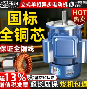 Vertical Full Brass Single-Phase Asynchronous Motor 0.75/1.1/1.5/2.2/3/4/5.5KW Motor 220V Single-Phase