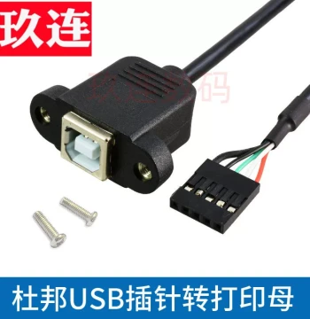 DuPont USB Pin with Screw Holes, Fixed 2.54mm 9-Pin Square Connector with Ears, Motherboard 5-Pin to USB-B Female Adapter Cable, DuPont 2.54MM Pin to Printer Port Bus Wire