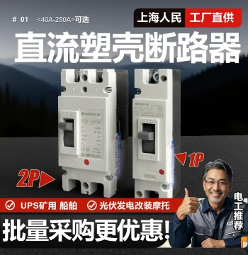 Shanghai People DC Molded Case Circuit Breaker 1P 2P 63A 200A 250A PV Dedicated Air Switch DC500V