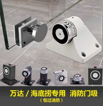 Wanda Fire Safety Electromagnetic Lock and Door Holder for Fire Doors, Wall or Floor Mount, 12/24V