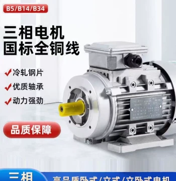 YS Three-Phase Aluminum Housing Motor, National Standard Pure Copper Motor, 2800 RPM 0.75KW-2/4 Horizontal B14 Vertical 1400 RPM