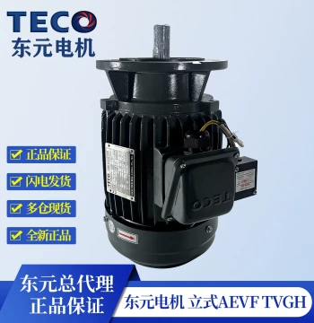 Teco Motor 0.75 1.5KW 2.2KW AEVF AEMV Brake Motor, Vertical Three-Phase TECO Electric Motor