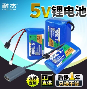 Nicjoy 5V Rechargeable Lithium Battery Power Supply Module with USB Charge/Discharge and Type-C Output