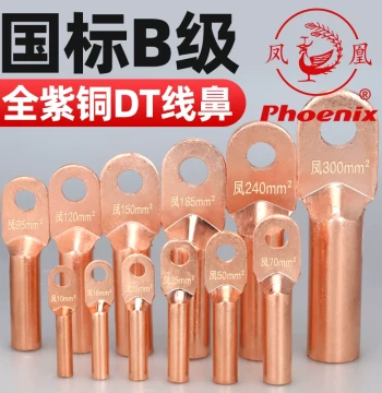 Phoenix DT National Standard Grade A Thickened Copper Lug Copper Wire Terminal Pure Copper Connector Tin-Plated Wire Ear DT-10 Manufacturer