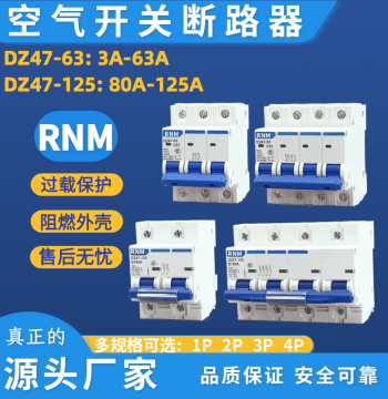 Miniature Circuit Breaker DZ47-63 Air Switch Household Protector 1P/2P/3P/4P C16A/32A/40A/63A